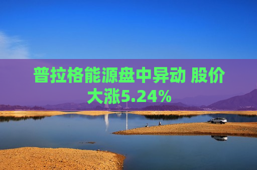 普拉格能源盘中异动 股价大涨5.24%