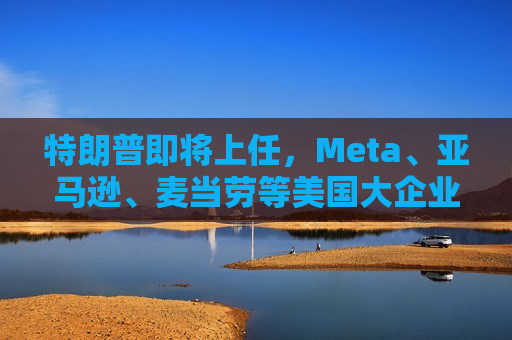 特朗普即将上任，Meta、亚马逊、麦当劳等美国大企业终止或缩减多元化项目