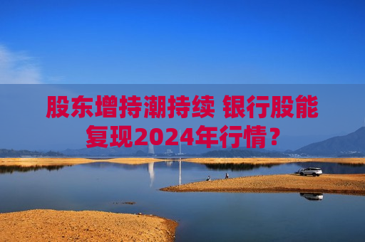 股东增持潮持续 银行股能复现2024年行情？