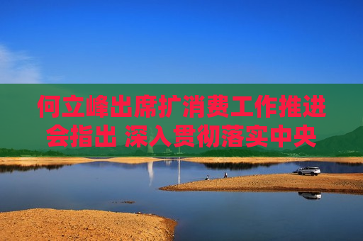 何立峰出席扩消费工作推进会指出 深入贯彻落实中央经济工作会议精神 加大力度推动扩消费工作
