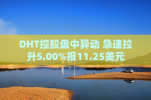 DHT控股盘中异动 急速拉升5.00%报11.25美元