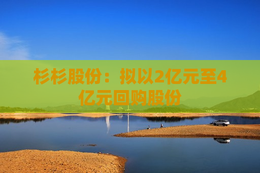 杉杉股份：拟以2亿元至4亿元回购股份