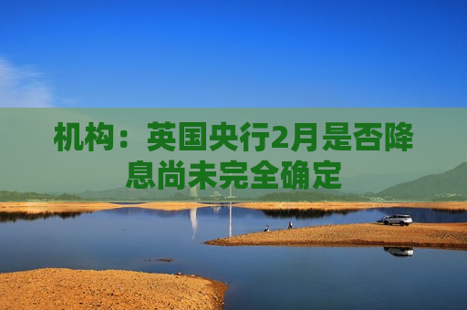 机构：英国央行2月是否降息尚未完全确定  第1张