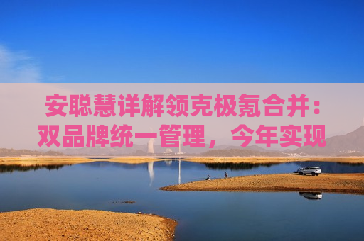 安聪慧详解领克极氪合并：双品牌统一管理，今年实现美股会计准则盈利  第1张