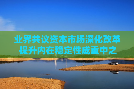 业界共议资本市场深化改革 提升内在稳定性成重中之重
