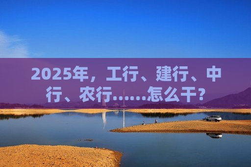 2025年，工行、建行、中行、农行……怎么干？  第1张