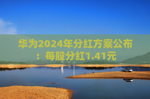 华为2024年分红方案公布：每股分红1.41元