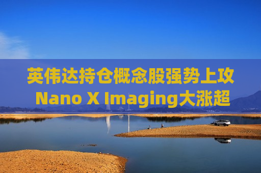 英伟达持仓概念股强势上攻 Nano X Imaging大涨超21%