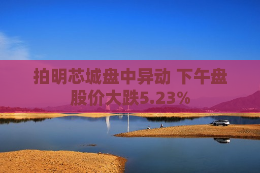 拍明芯城盘中异动 下午盘股价大跌5.23%