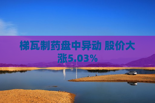 梯瓦制药盘中异动 股价大涨5.03%