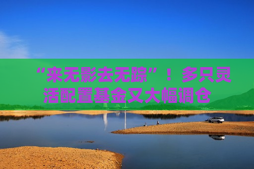 “来无影去无踪”！多只灵活配置基金又大幅调仓