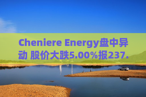 Cheniere Energy盘中异动 股价大跌5.00%报237.15美元