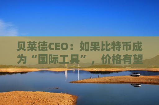 贝莱德CEO：如果比特币成为“国际工具”，价格有望达到70万美元