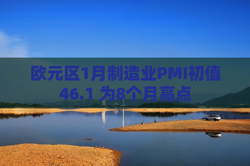 欧元区1月制造业PMI初值46.1 为8个月高点