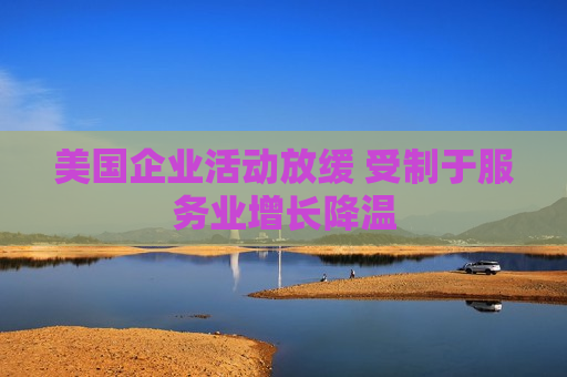 美国企业活动放缓 受制于服务业增长降温
