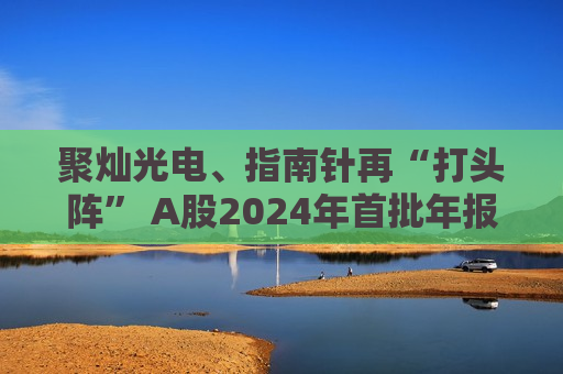 聚灿光电、指南针再“打头阵” A股2024年首批年报亮相  第1张
