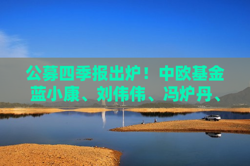 公募四季报出炉！中欧基金蓝小康、刘伟伟、冯炉丹、钱亚婷操作及观点来了  第1张