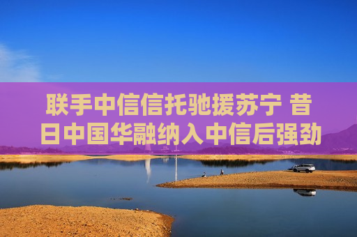 联手中信信托驰援苏宁 昔日中国华融纳入中信后强劲复苏  第1张