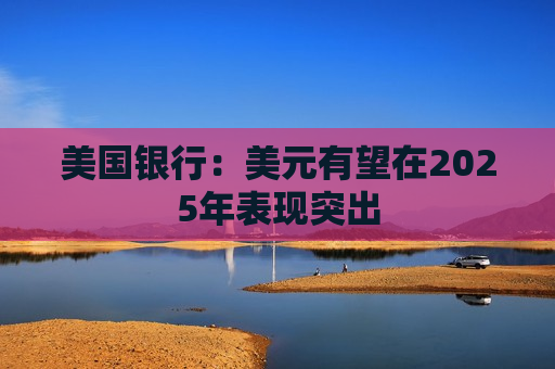 美国银行：美元有望在2025年表现突出