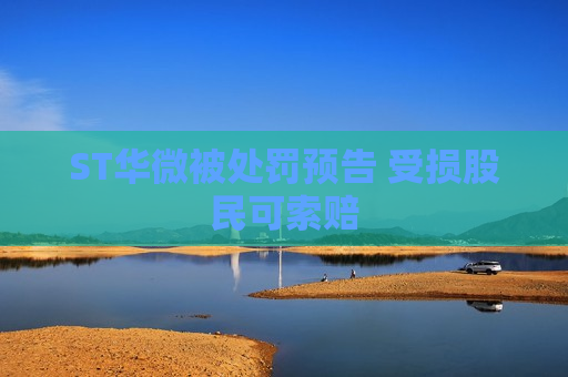 ST华微被处罚预告 受损股民可索赔
