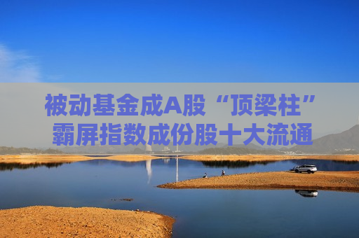 被动基金成A股“顶梁柱” 霸屏指数成份股十大流通股东