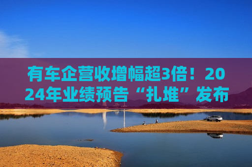 有车企营收增幅超3倍！2024年业绩预告“扎堆”发布，哪些车企赚钱了？  第1张