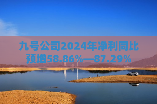 九号公司2024年净利同比预增58.86%—87.29%