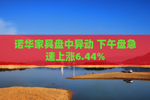 诺华家具盘中异动 下午盘急速上涨6.44%