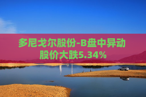 多尼戈尔股份-B盘中异动 股价大跌5.34%  第1张