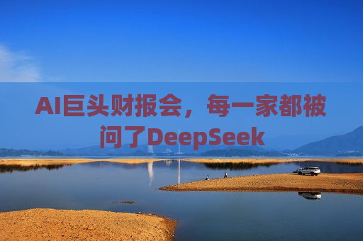 AI巨头财报会，每一家都被问了DeepSeek
