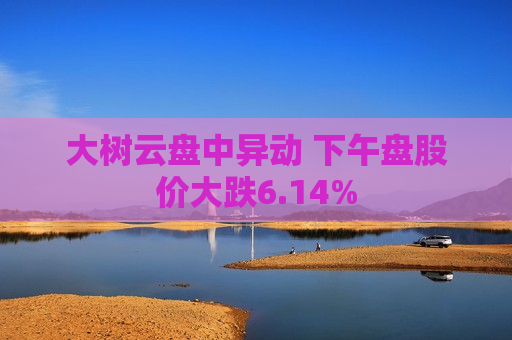 大树云盘中异动 下午盘股价大跌6.14%