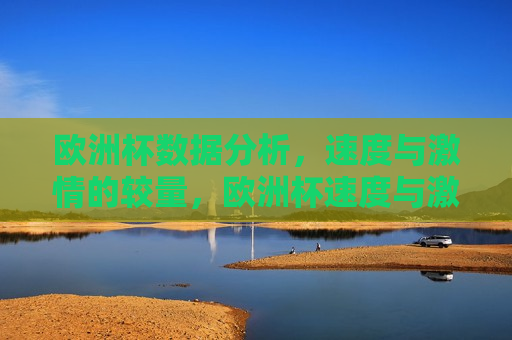 欧洲杯数据分析，速度与 *** 的较量，欧洲杯速度与 *** ，数据分析揭秘赛场较量大揭秘，欧洲杯速度与 *** ，赛场较量的数据分析大揭秘