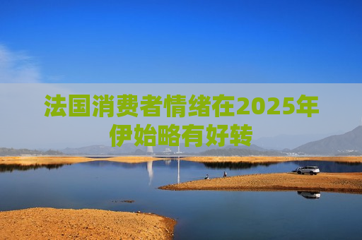 法国消费者情绪在2025年伊始略有好转  第1张