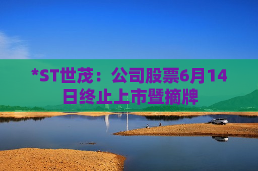 *ST世茂：公司股票6月14日终止上市暨摘牌  第1张