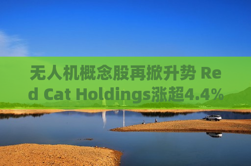 无人机概念股再掀升势 Red Cat Holdings涨超4.4%  第1张