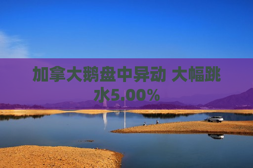 加拿大鹅盘中异动 大幅跳水5.00%