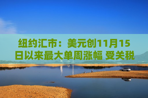 纽约汇市：美元创11月15日以来更大单周涨幅 受关税计划影响