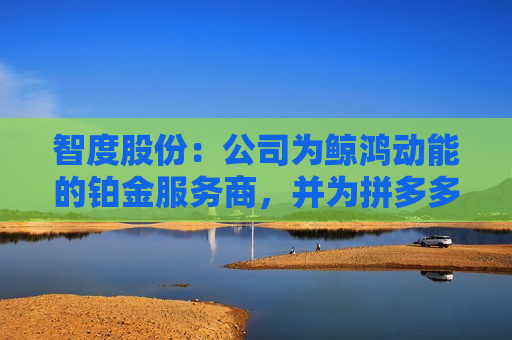 智度股份：公司为鲸鸿动能的铂金服务商，并为拼多多、字节跳动旗下的抖音和头条等KA客户提供广告运营服务  第1张