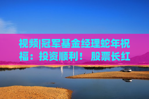 视频|冠军基金经理蛇年祝福：投资顺利！ 股票长红！