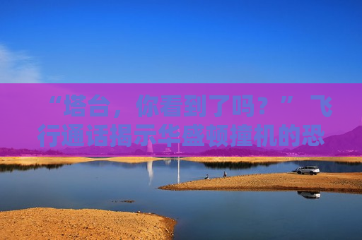 “塔台，你看到了吗？” 飞行通话揭示华盛顿撞机的恐怖瞬间