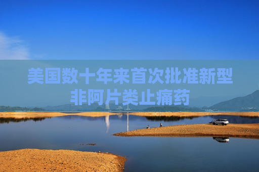 美国数十年来首次批准新型非阿片类止痛药
