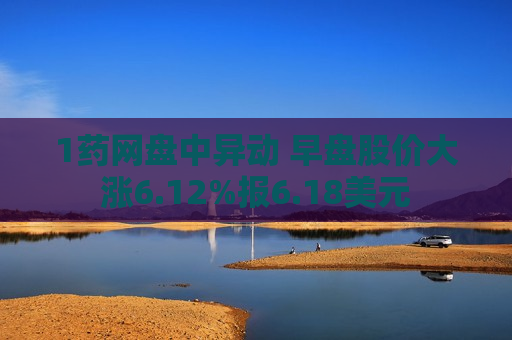1药网盘中异动 早盘股价大涨6.12%报6.18美元
