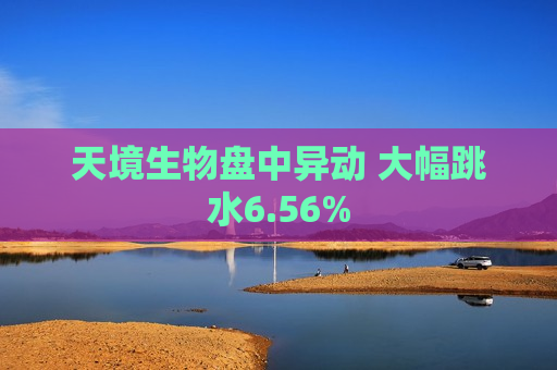 天境生物盘中异动 大幅跳水6.56%