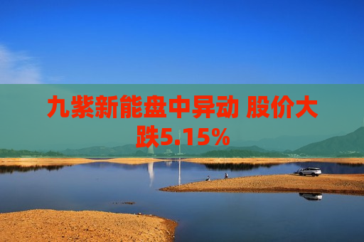 九紫新能盘中异动 股价大跌5.15%