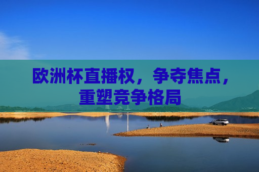 欧洲杯直播权，争夺焦点，重塑竞争格局  第1张