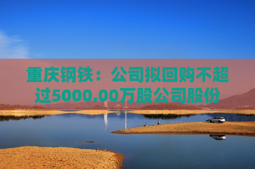 重庆钢铁：公司拟回购不超过5000.00万股公司股份  第1张