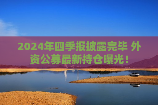 2024年四季报披露完毕 外资公募最新持仓曝光！