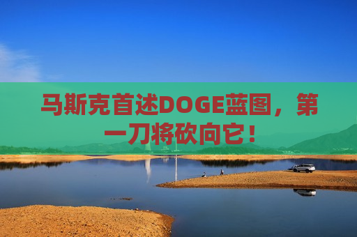 马斯克首述DOGE蓝图，之一刀将砍向它！