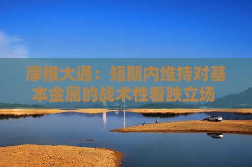 摩根大通：短期内维持对基本金属的战术性看跌立场 暂时主要看涨黄金  第1张