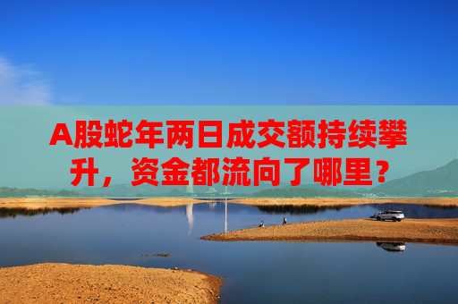A股蛇年两日成交额持续攀升，资金都流向了哪里？